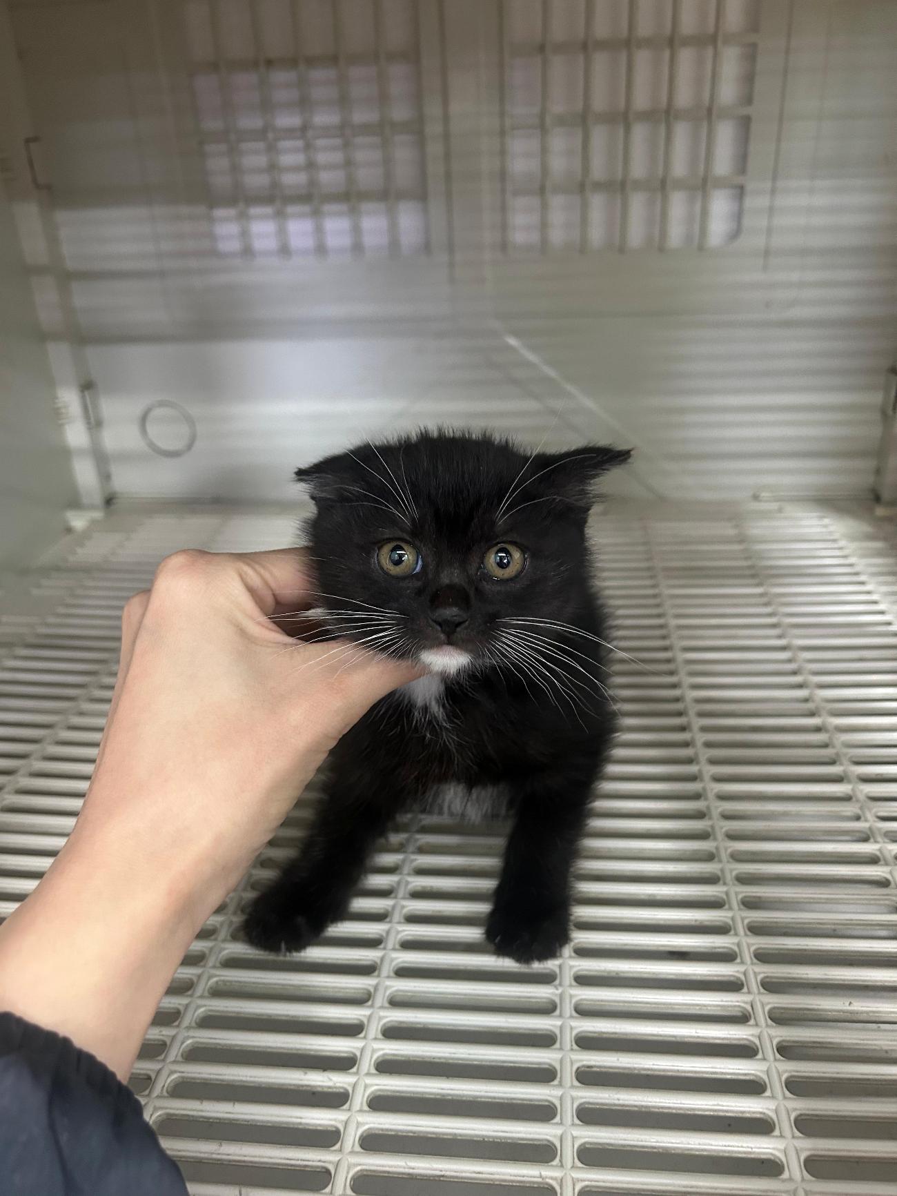 금강동물병원_427346202501237